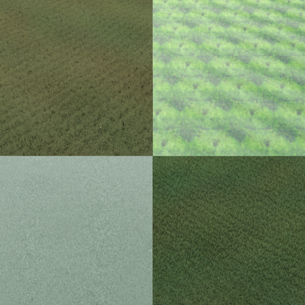 Comparison of different Grass Systems